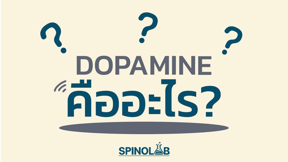 Dopamine คือ