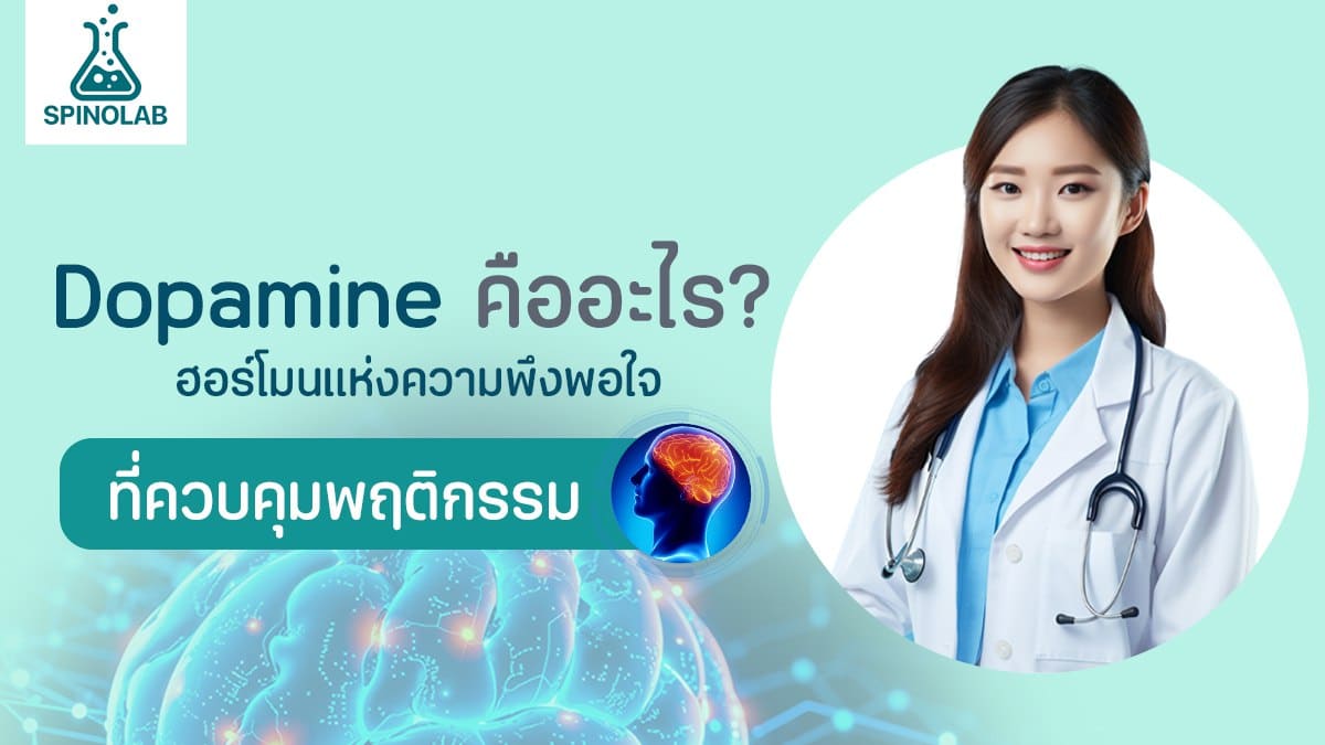 Dopamine คืออะไร? ฮอร์โมนแห่งความพึงพอใจ